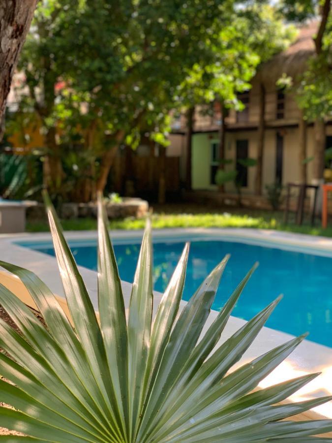 Ammare Hotel Boutique Playa del Carmen Exteriör bild