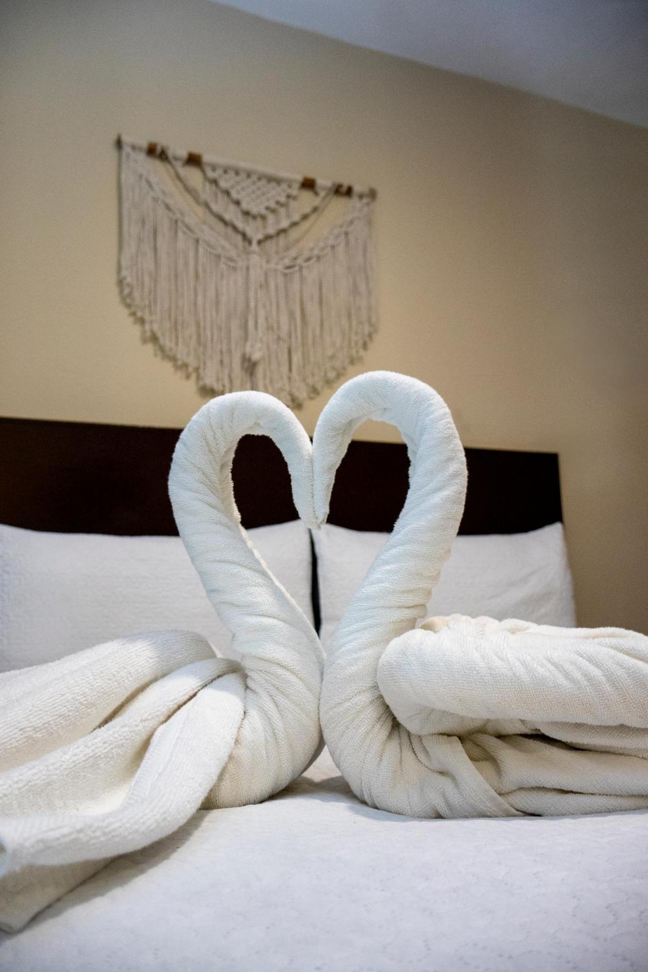 Ammare Hotel Boutique Playa del Carmen Exteriör bild